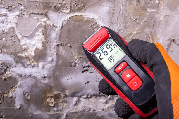 Best Water Damage Restoration  in Lordship, CT