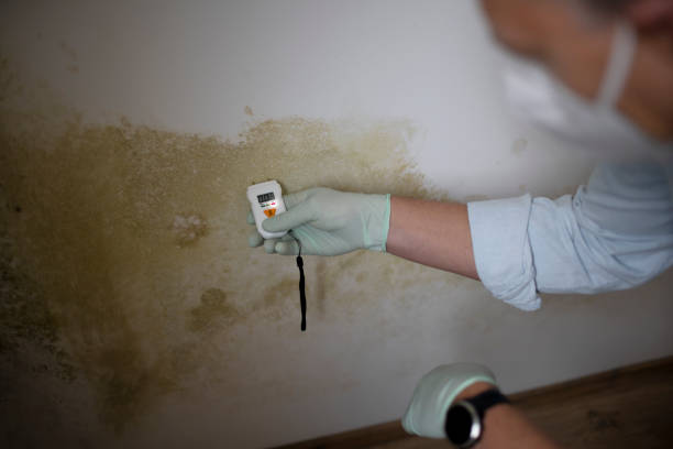 Best Crawl Space Mold Removal  in Lordship, CT