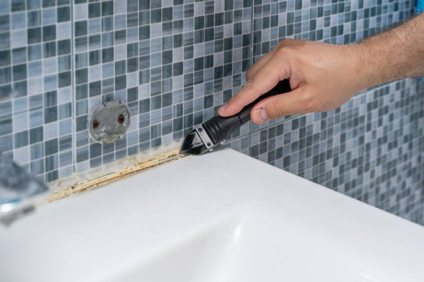 Best Mold Inspection  in Lordship, CT